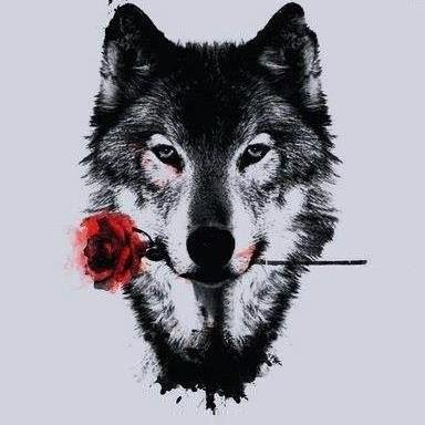 Resultado de imagen para el lobo estepario
